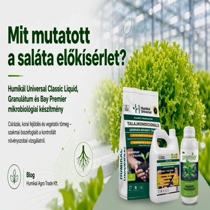 Mit mutatott a saláta előkísérlet?